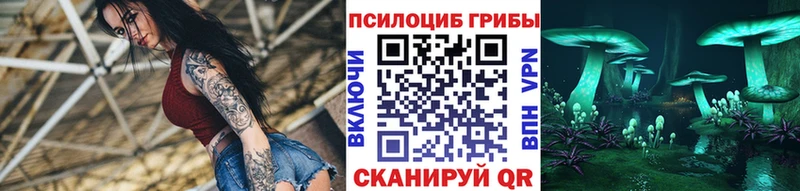 купить наркотики цена  Великий Новгород  Псилоцибиновые грибы Psilocybine cubensis 