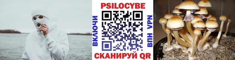 Галлюциногенные грибы GOLDEN TEACHER Великий Новгород